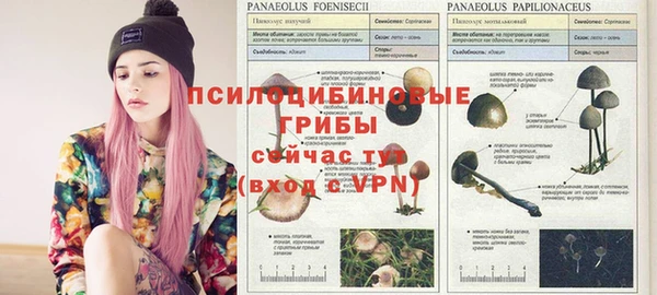 mix Абинск