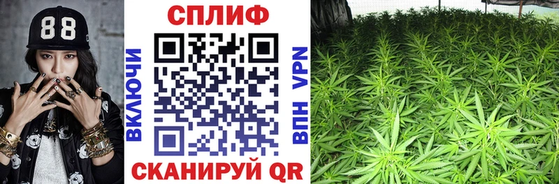 Бошки Шишки THC 21%  Томилино 